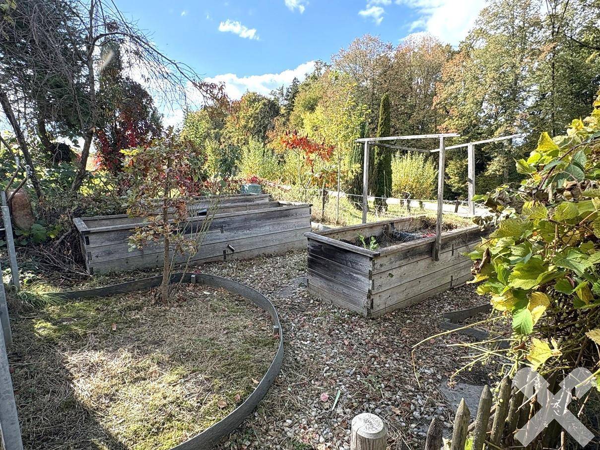 Gartenbereich mit Hochbeeten für den Anbau von Gemüse und Pflanzen.