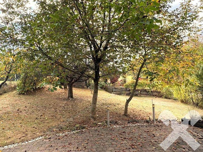 Großer Gartenbereich mit Bäumen und Rasenfläche, ideal zum Entspannen.