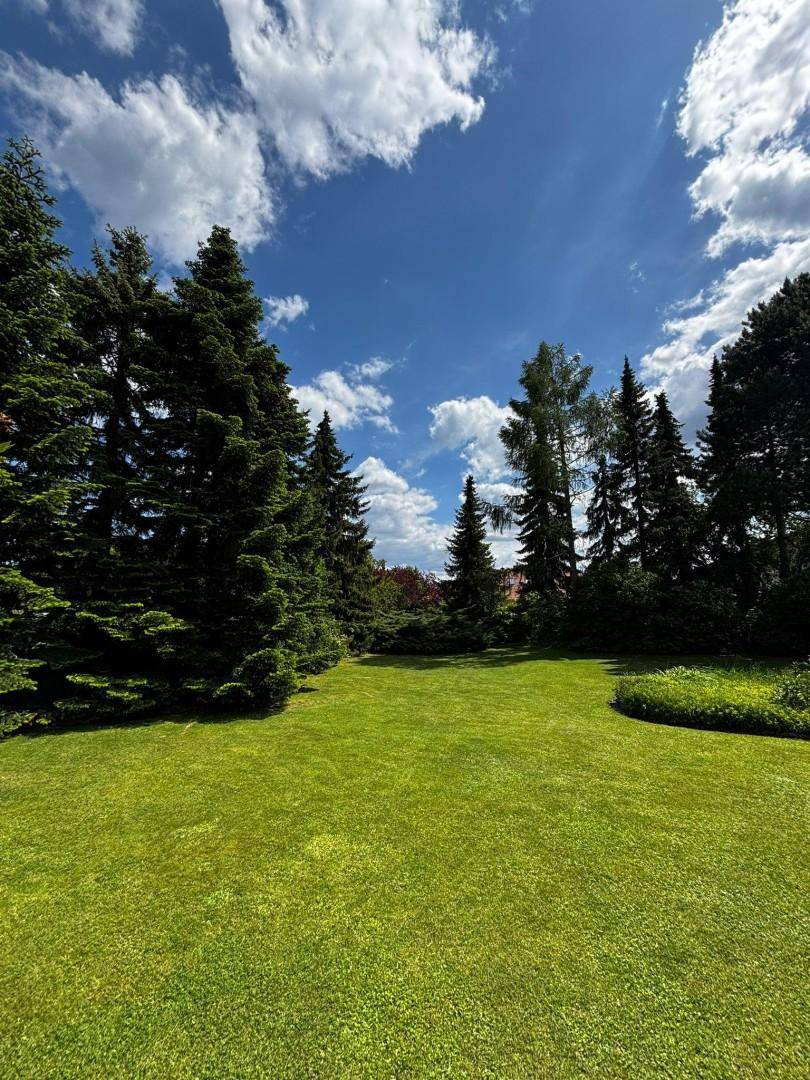 Garten Foto 2