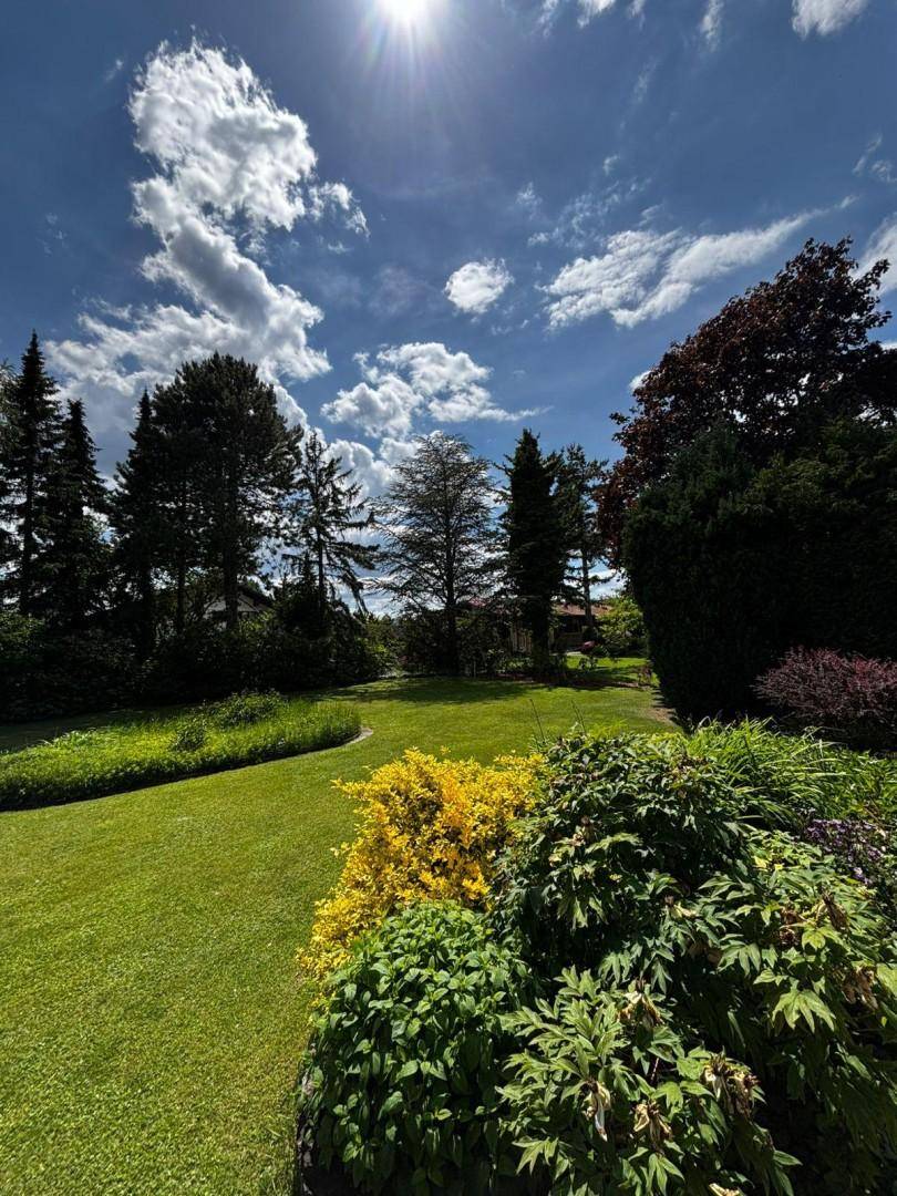 Garten Foto 1