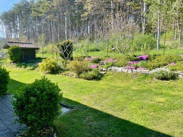 gartenseitig Foto 2
