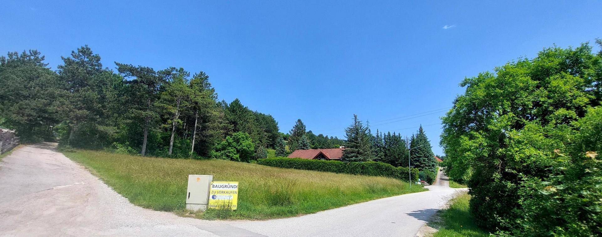 Foto2