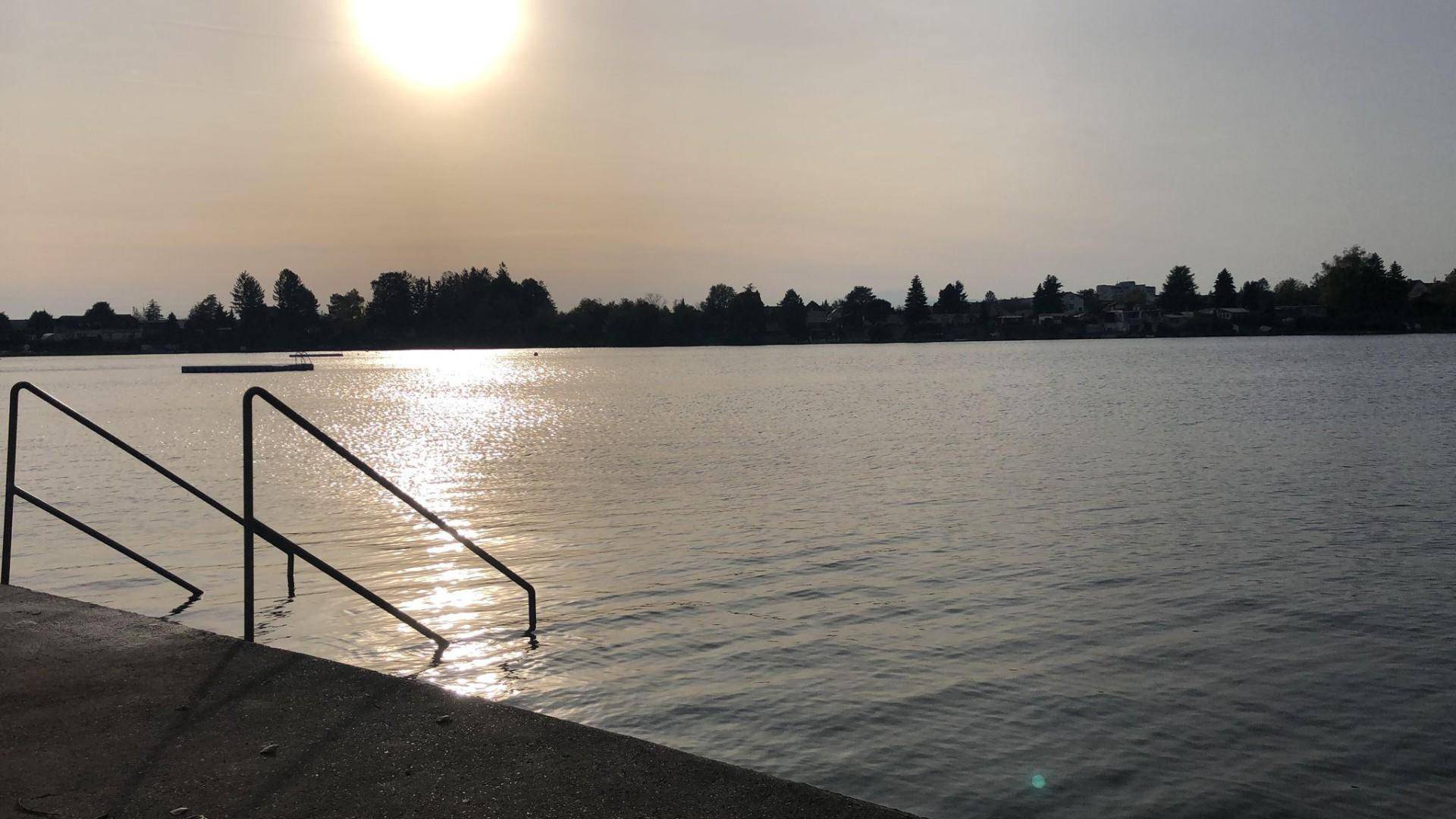 Ruhiger See bei Sonnenuntergang mit Steg und Treppe ins Wasser, umgeben von Bäumen.