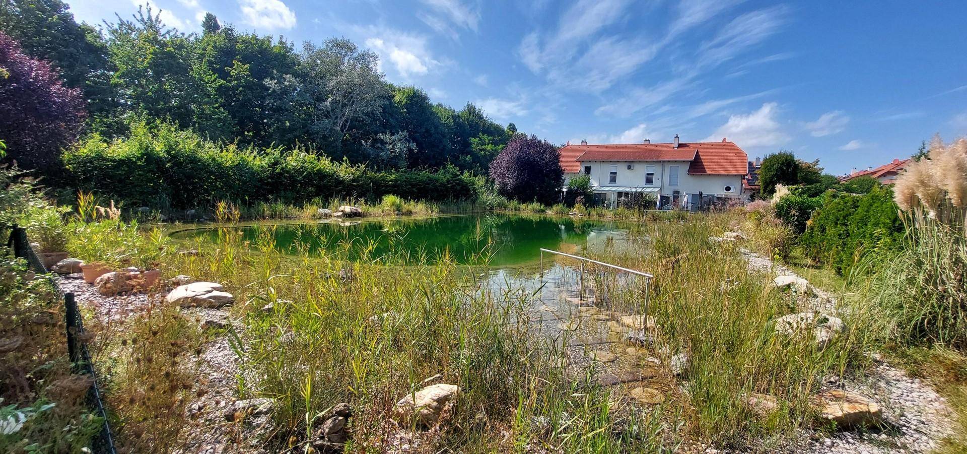 Schwimmteich