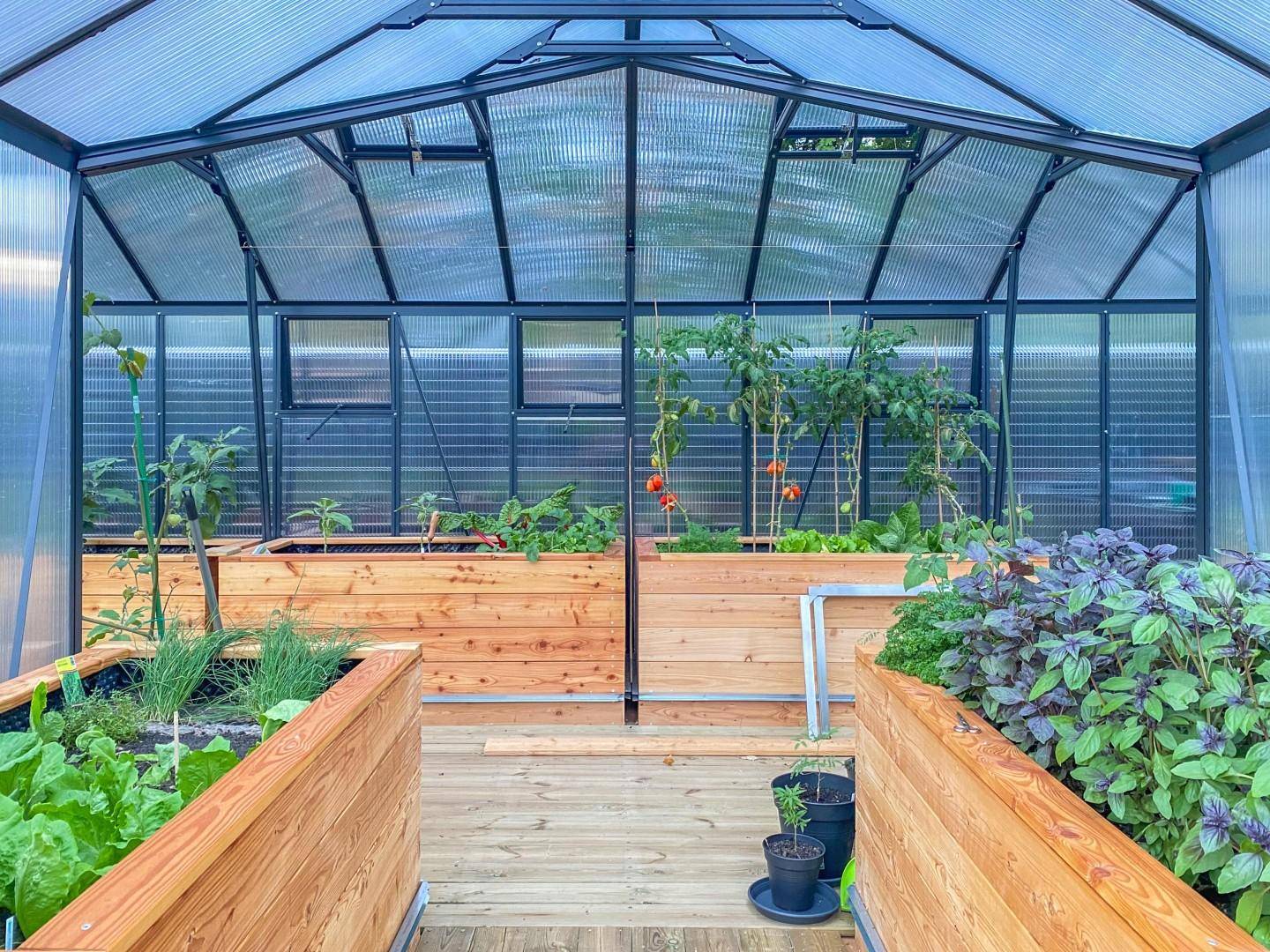 Gewa¨chshaus im Garten