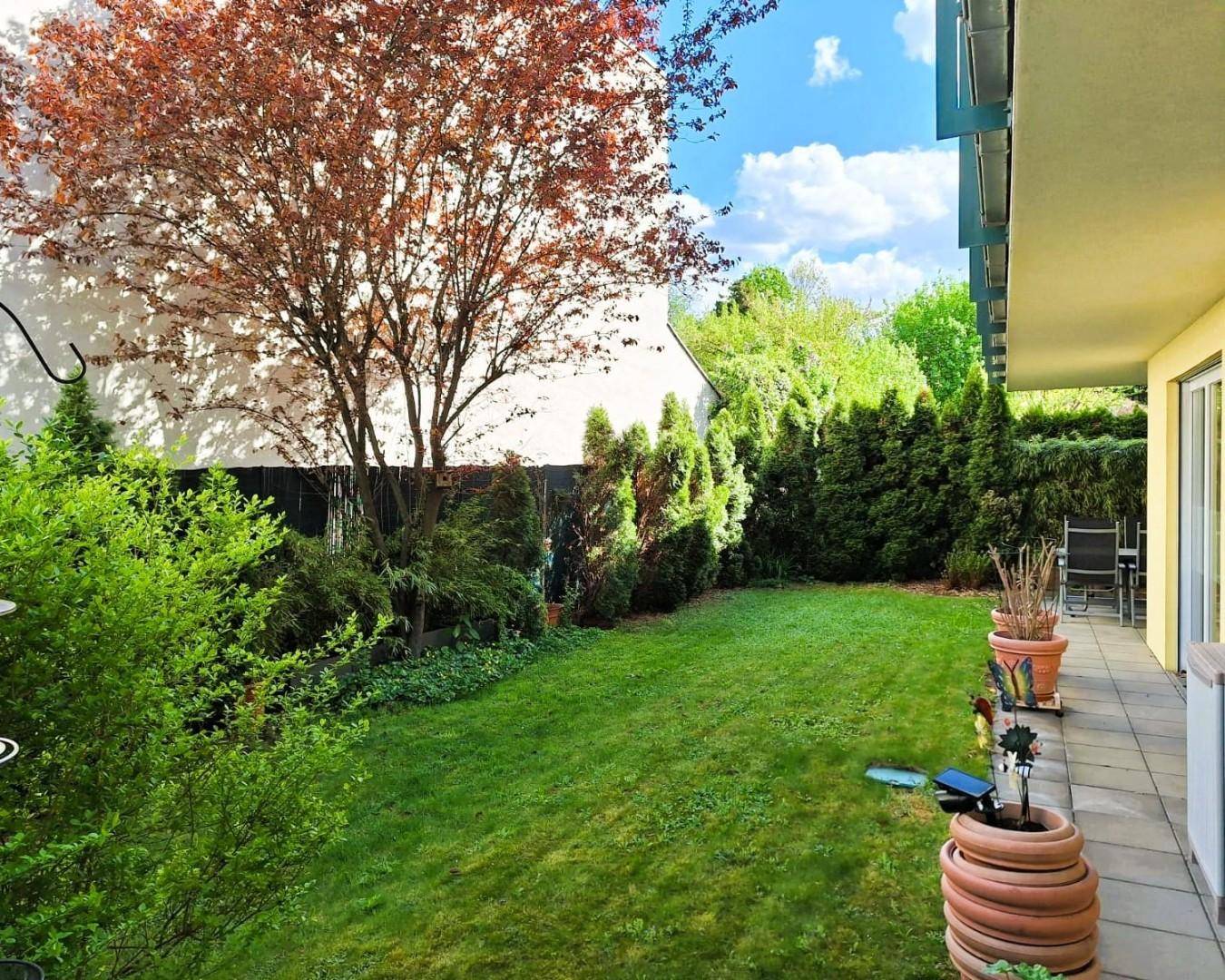 Gepflegter Garten mit Rasenfläche, einem Baum mit roten Blättern und angrenzender Terrasse.