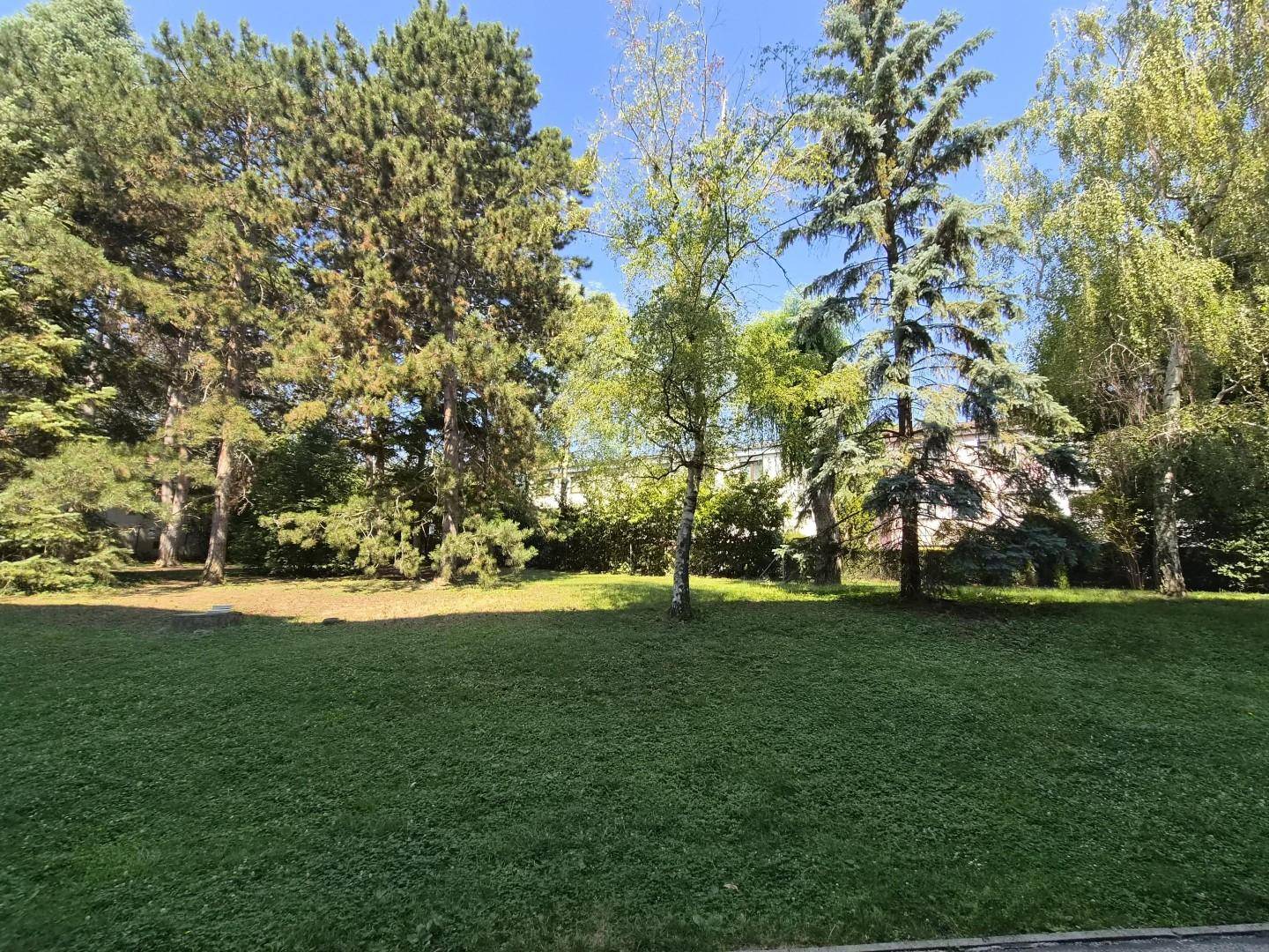 Große Grünfläche mit altem Baumbestand und viel Platz zum Entspannen und Spielen.