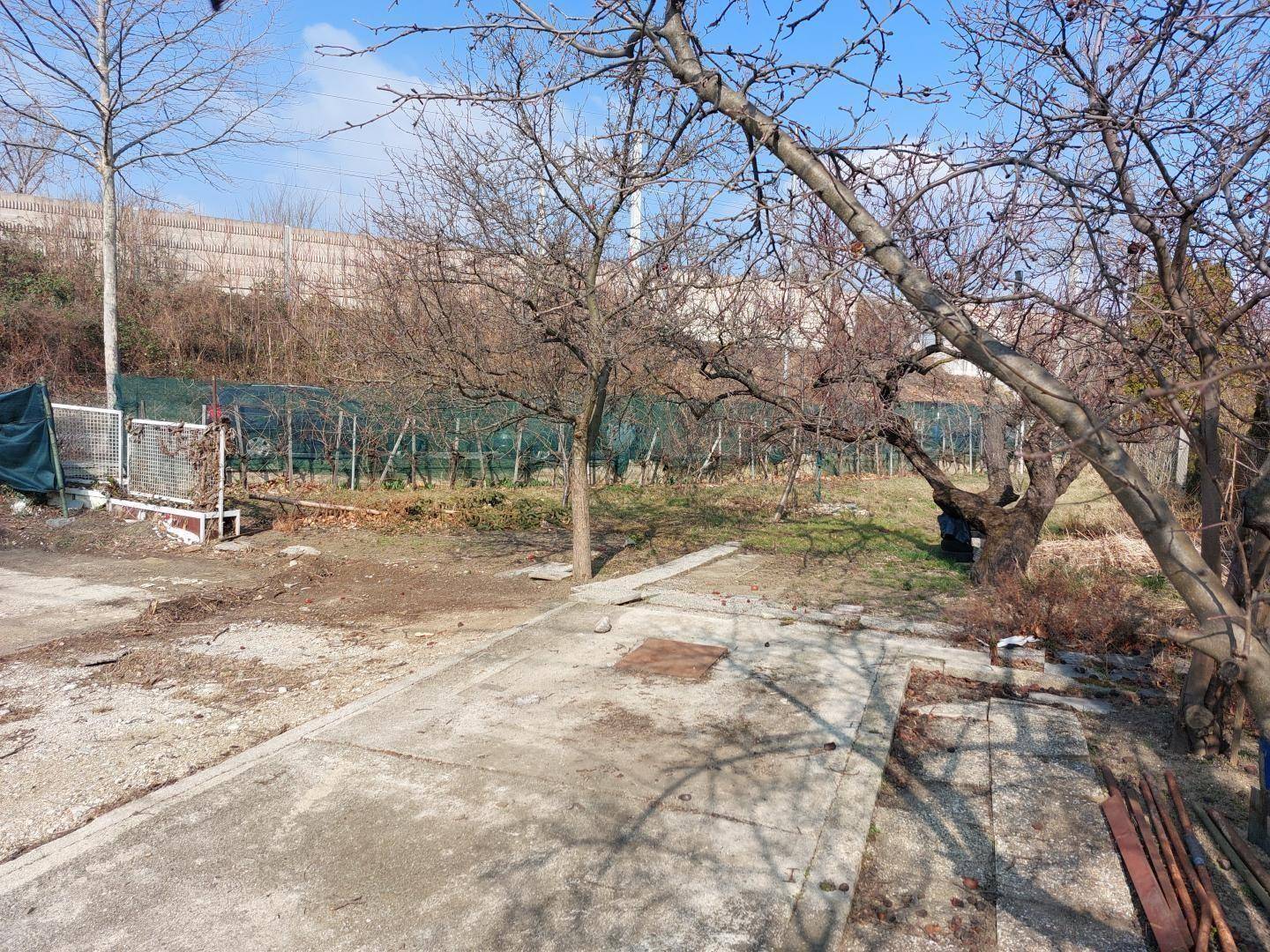 Ungepflegter Gartenbereich mit kahlen Bäumen, Betonflächen und Blick auf die umliegende Natur.