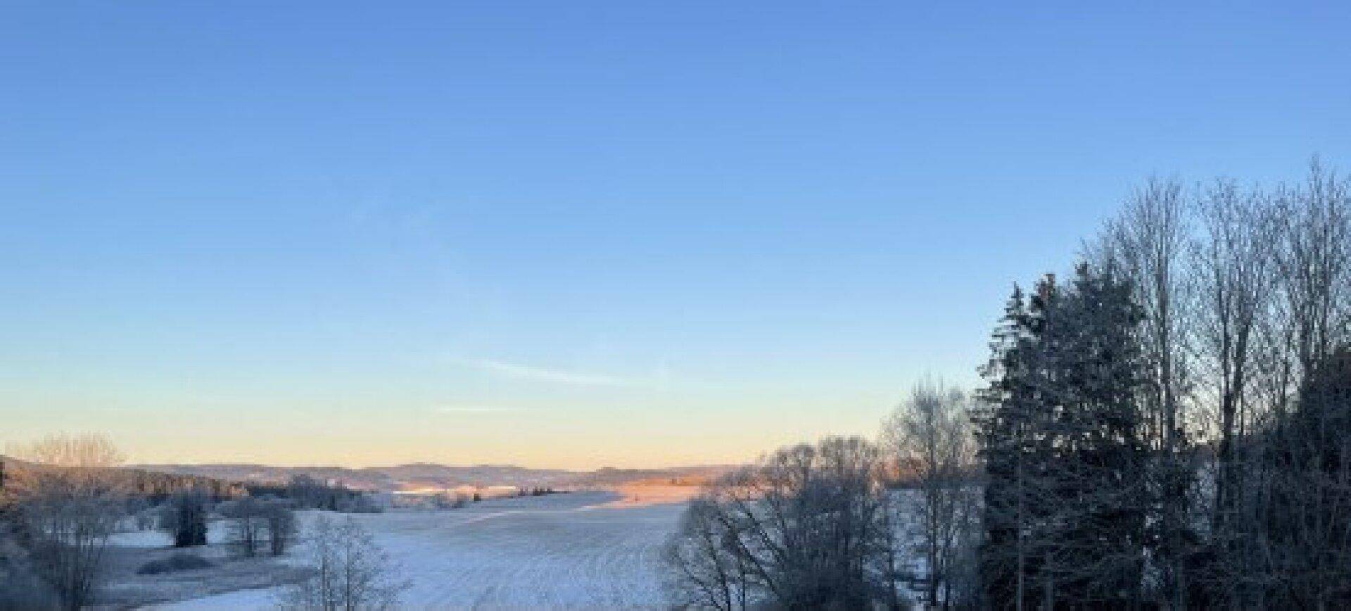 Weite Winterlandschaft mit verschneiten Feldern und Bäumen unter klarem Himmel.