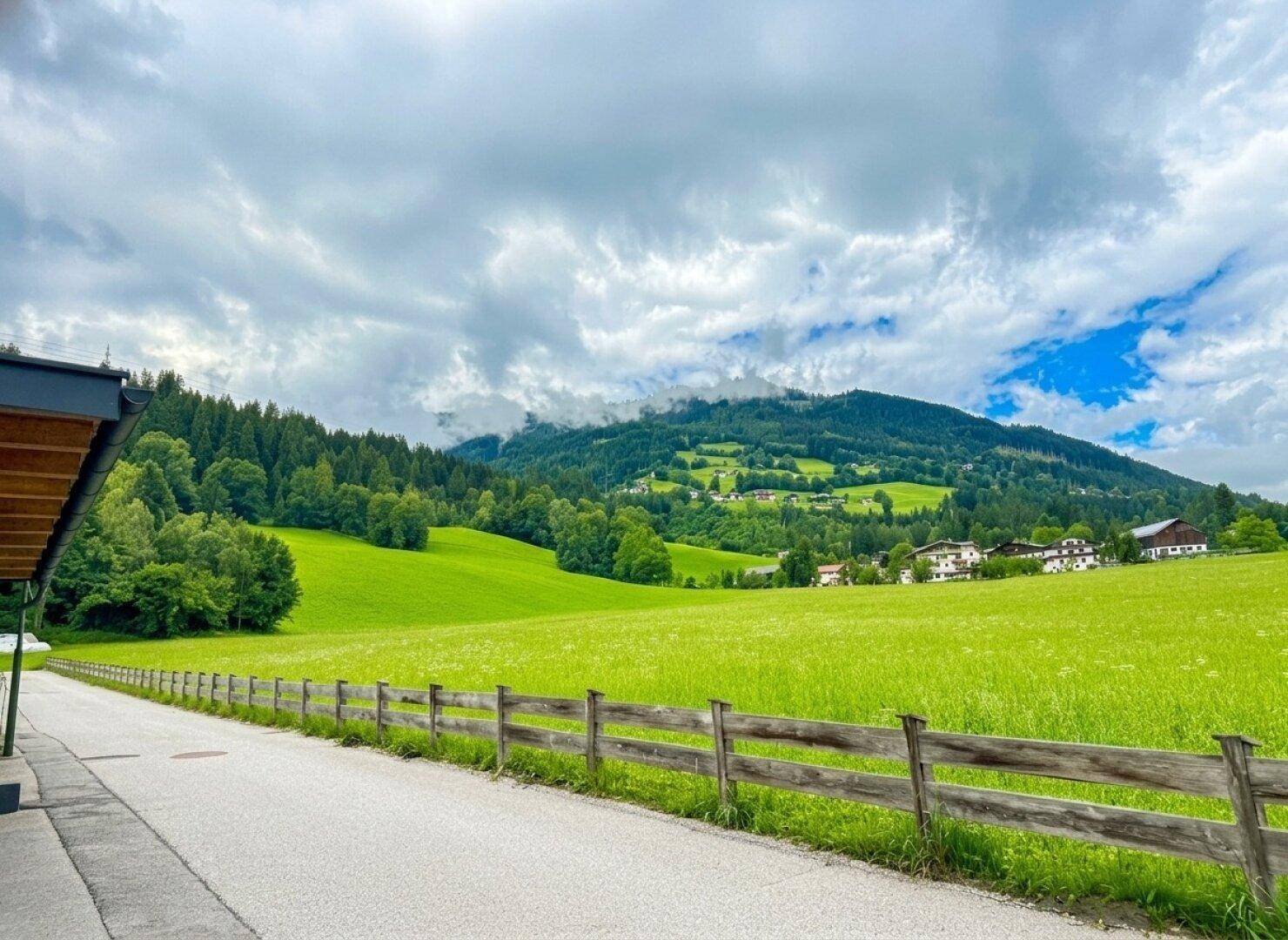 Malerische Landschaft mit grünen Wiesen, Wäldern und Bergen unter bewölktem Himmel.