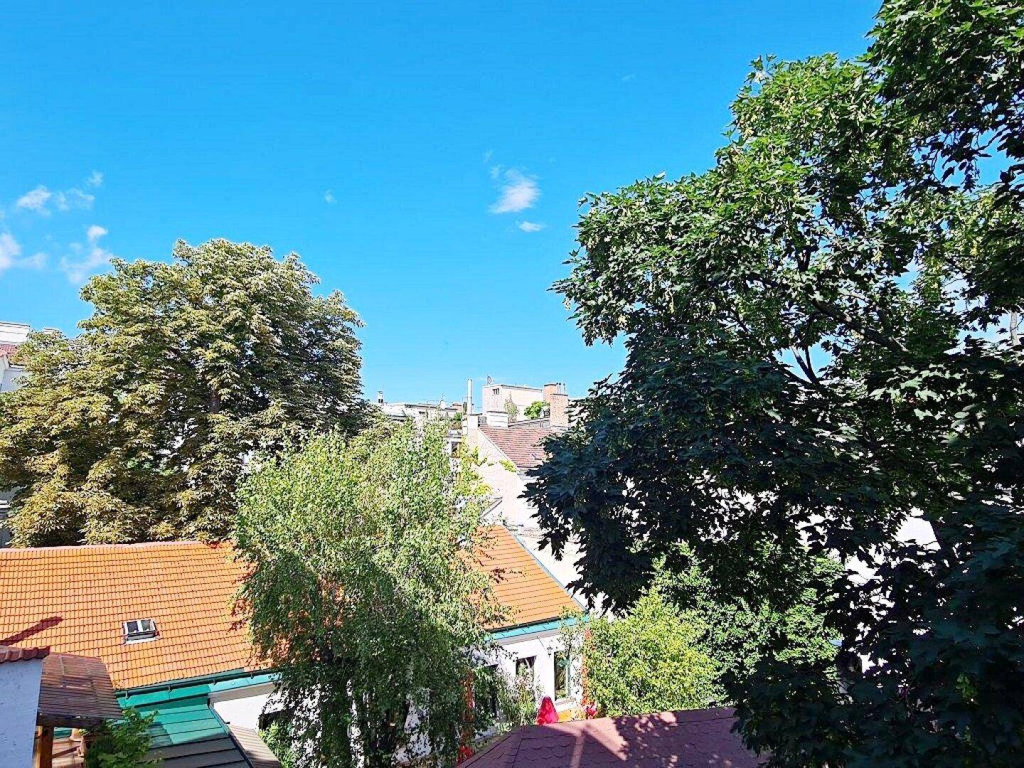 Weitblick über Dächer und grüne Baumwipfel unter blauem Himmel.