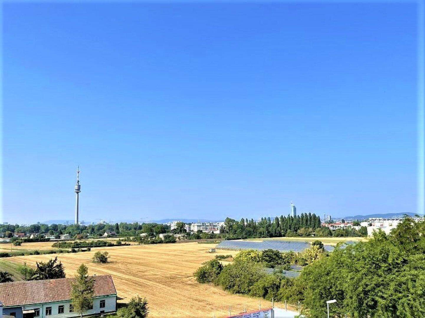 Weitläufiger Blick über Felder, Bäume und die Skyline der Stadt mit einem Fernsehturm.