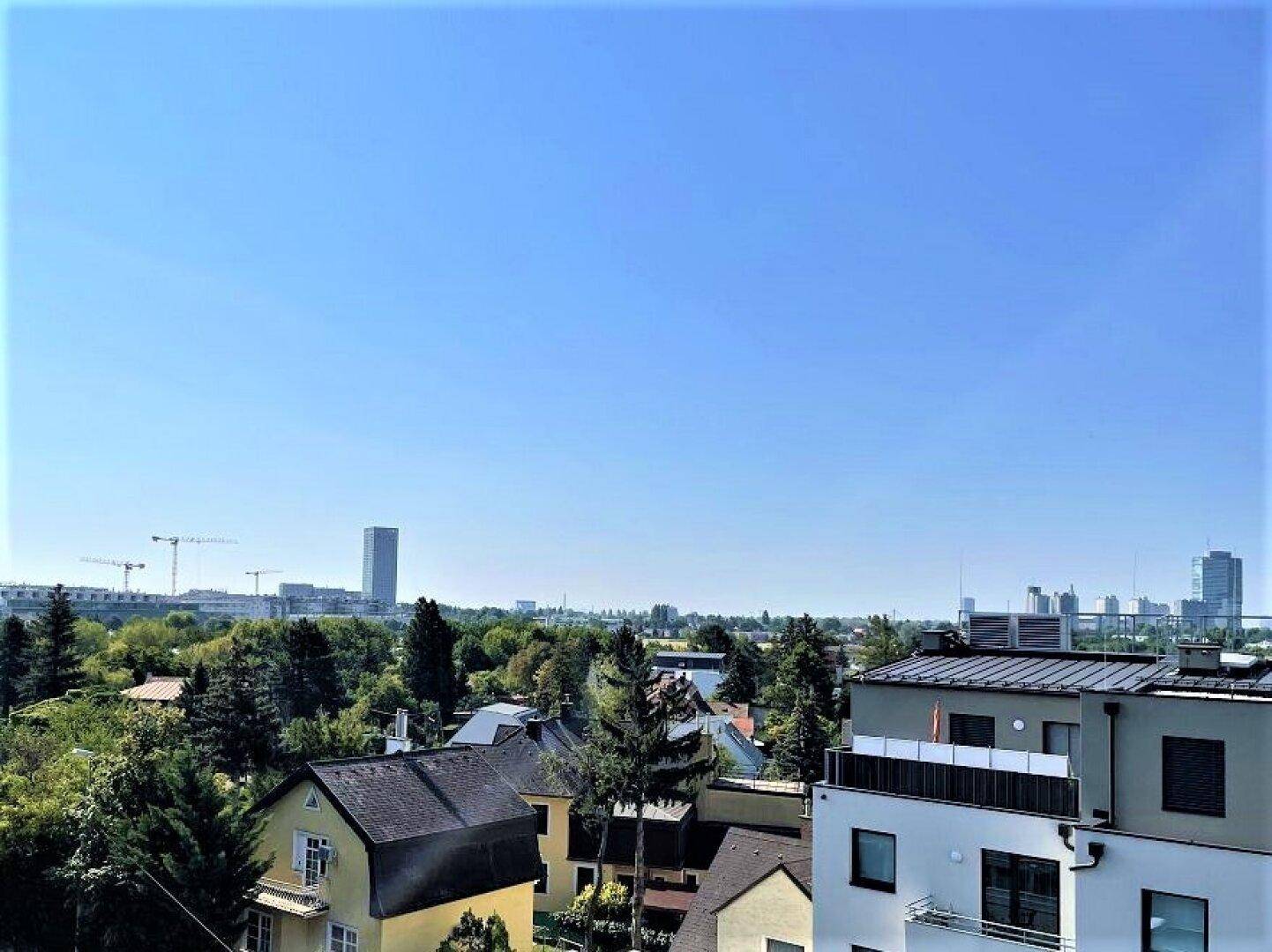 Panoramablick über eine Wohngegend mit vielen Bäumen und der Skyline im Hintergrund.