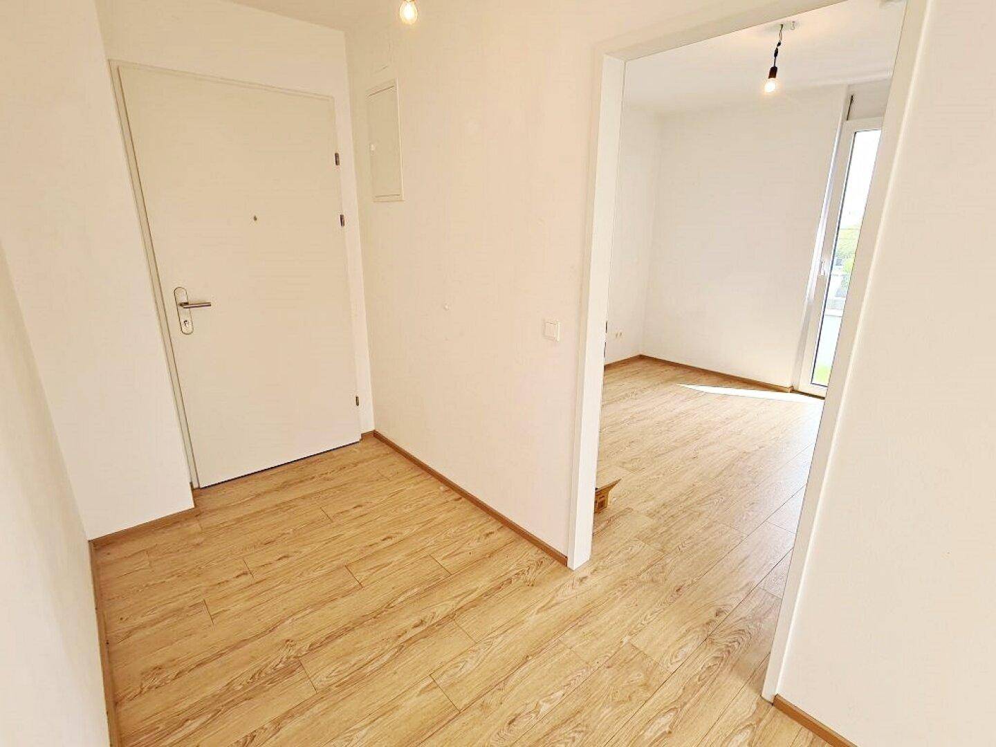 Heller Eingangsbereich mit Laminatboden, weißer Tür und Zugang zu weiteren Wohnräumen.