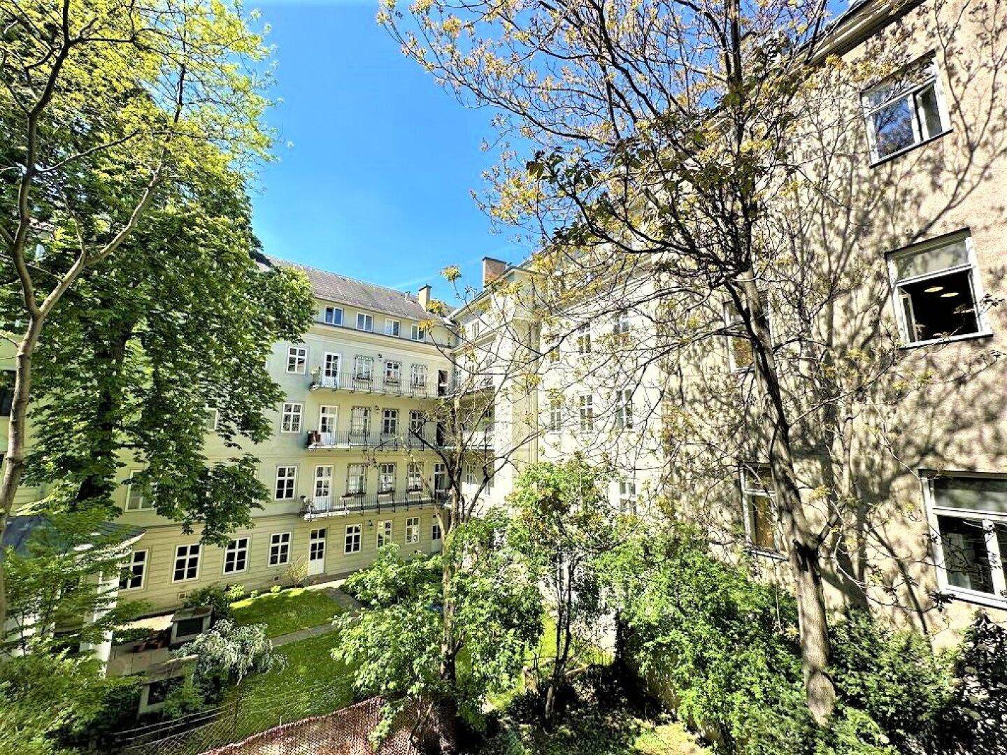 Grüner Innenhof mit Bäumen und Blick auf die umliegenden Altbaugebäude.