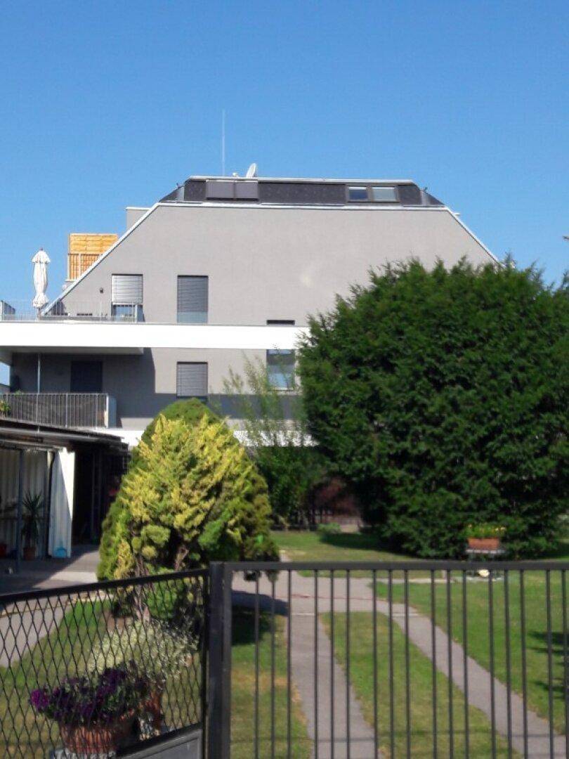Rückansicht eines modernen Wohnhauses mit Gartenbereich und hohen Bäumen im Vordergrund.