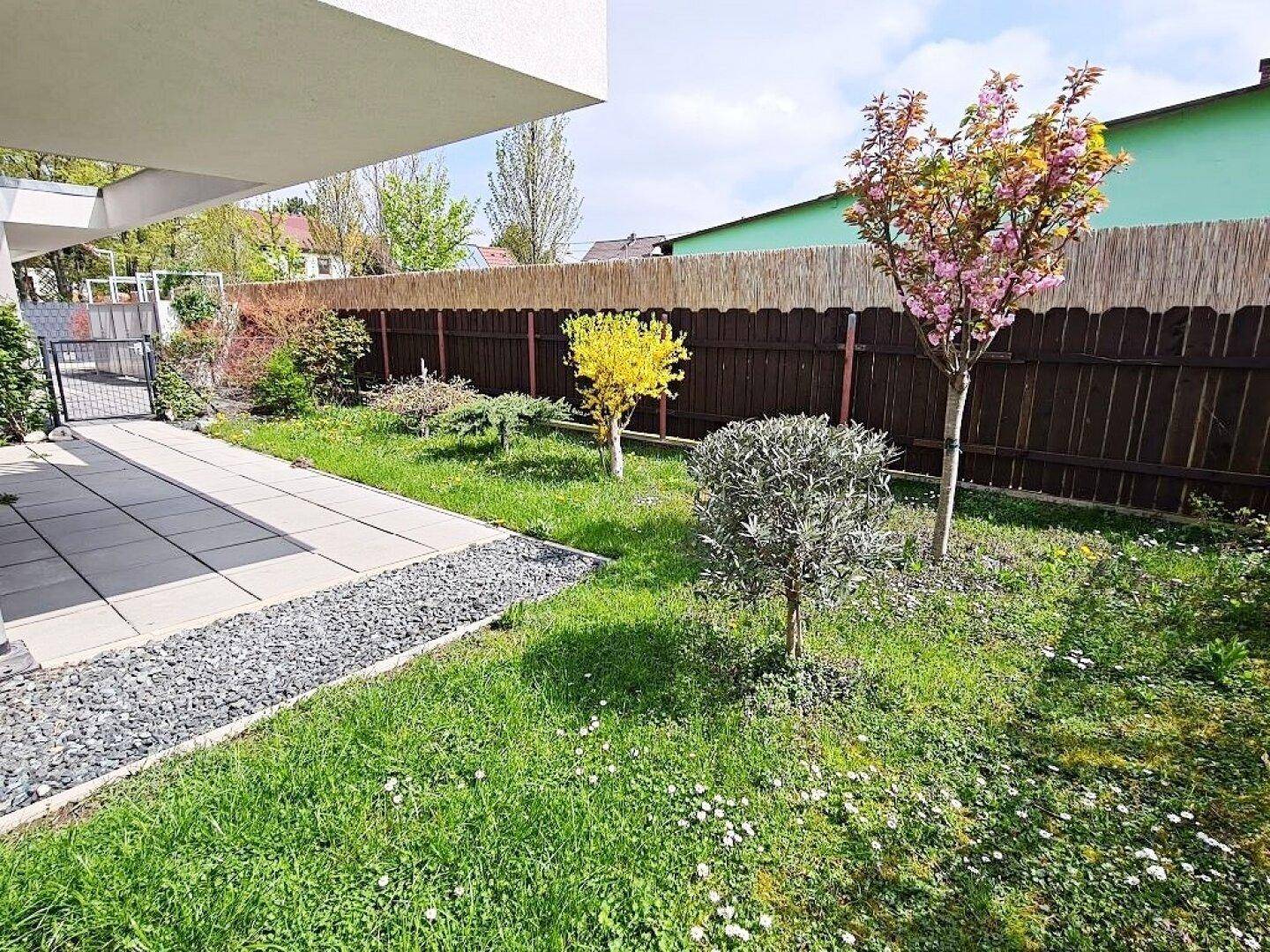 Sonniger Garten mit verschiedenen Ziersträuchern, Rasenfläche und einer kleinen gepflasterten Terrasse.
