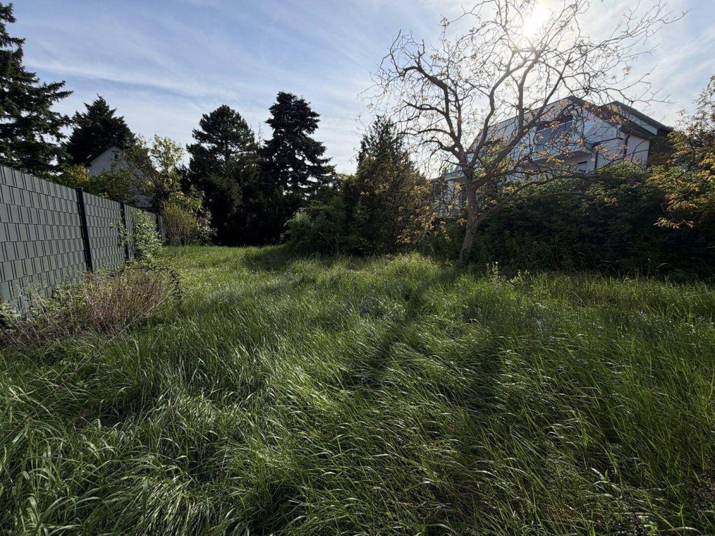 Weitläufiges, ungepflegtes Grundstück mit hohem Gras und Bäumen im Hintergrund unter sonnigem Himmel.