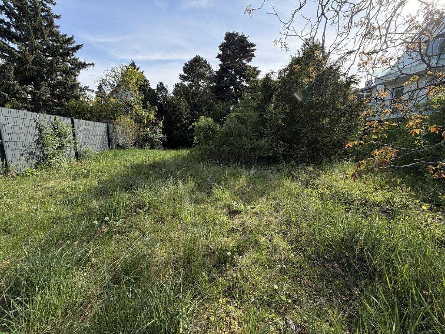 Großes, ungepflegtes Grundstück mit hohem Gras und einer Mischung aus Bäumen und Sträuchern.