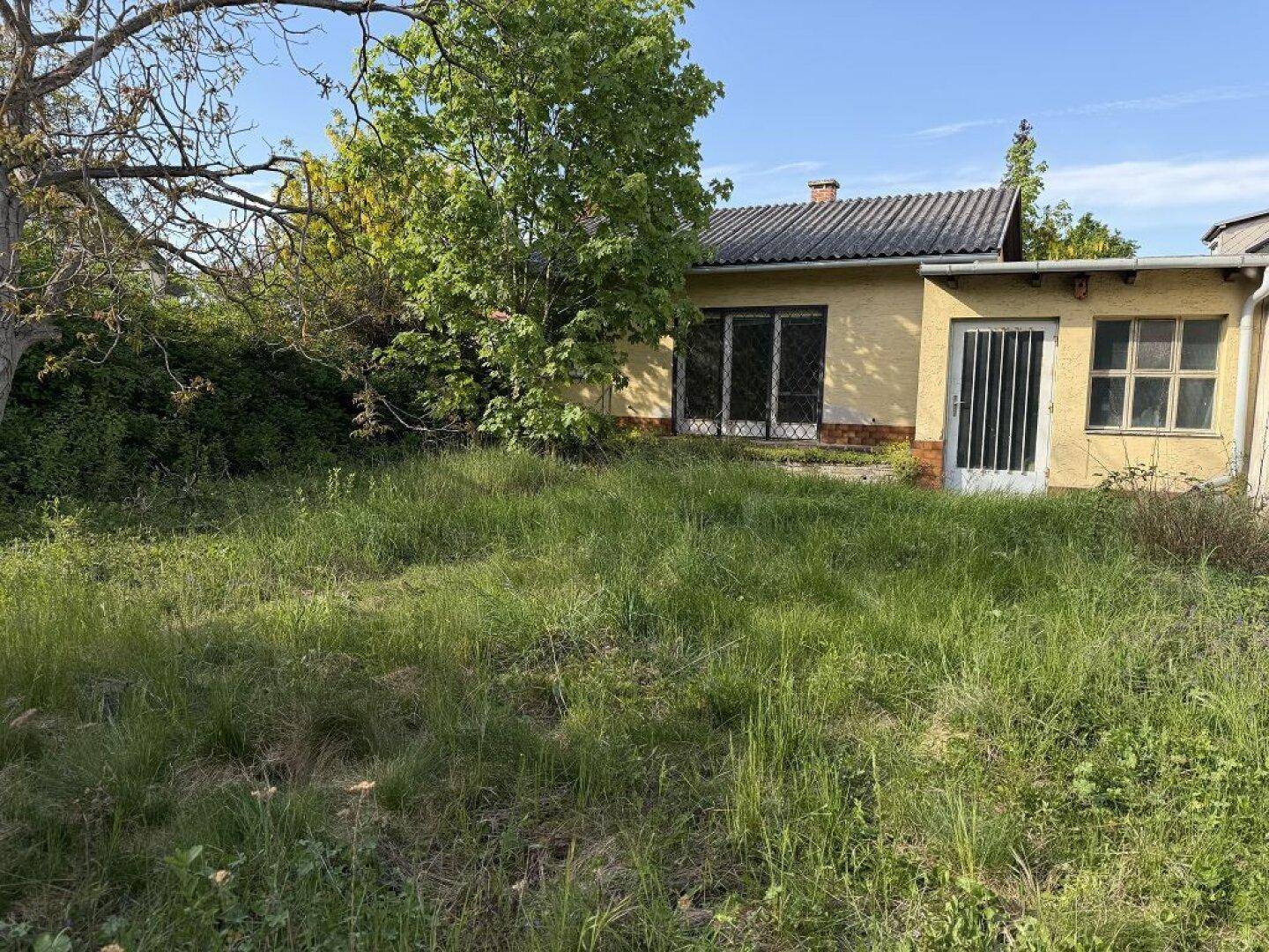 Rückansicht eines älteren Hauses mit verwildertem Garten und Anbau unter blauem Himmel.