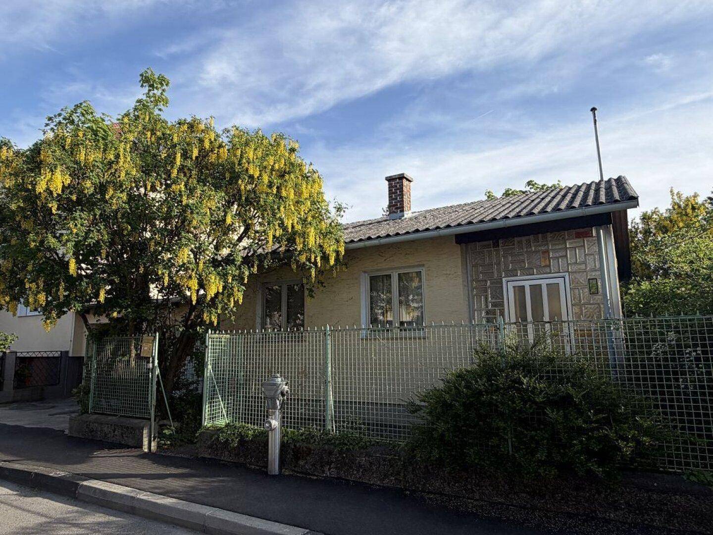 Vorderansicht eines älteren Hauses von der Straße aus, umgeben von einem Zaun und blühendem Baum.