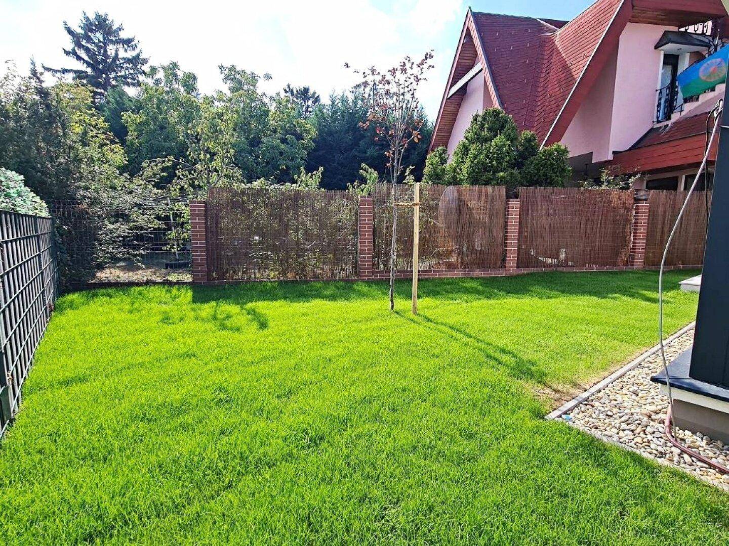Gepflegter Garten mit grünem Rasen und einem jungen Baum.