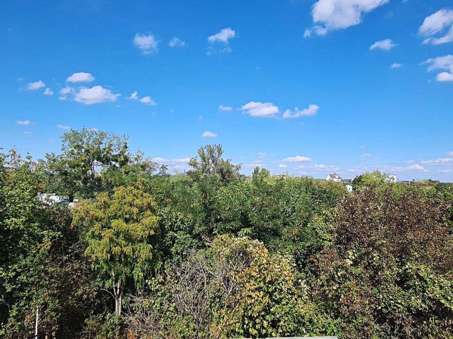 Weitläufiger Blick ins Grüne mit vielen Bäumen und blauem Himmel.