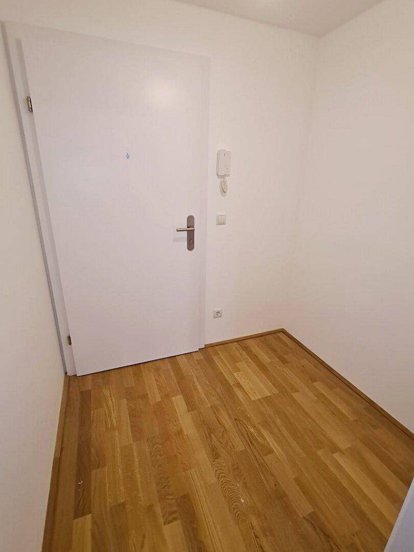 Heller Eingangsbereich mit Parkettboden und weißer Eingangstür, einladend und funktional.