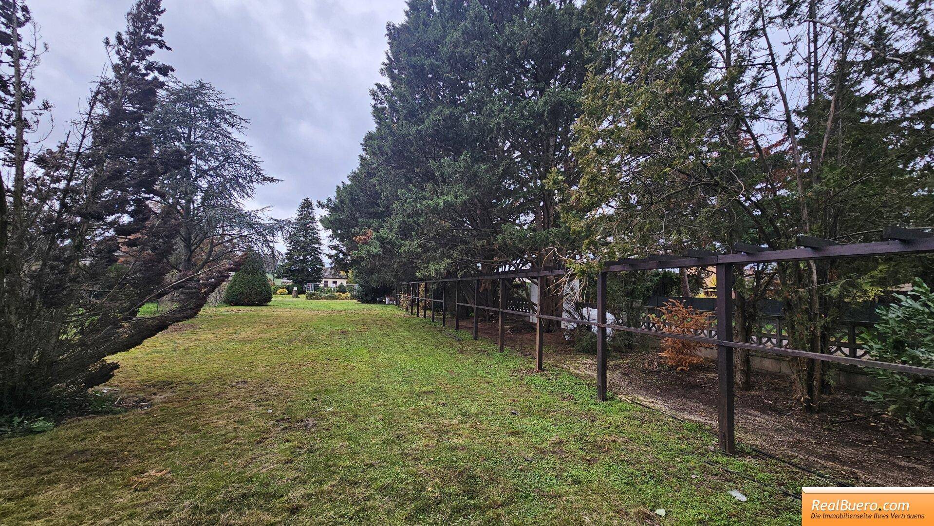 Ansicht 3 -Grundstücksgrenze ist beim grünen spitzen Baum links hinten