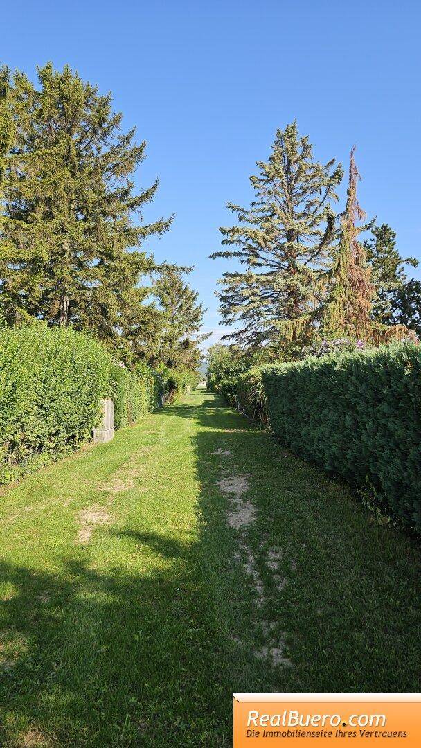 Weg zum See