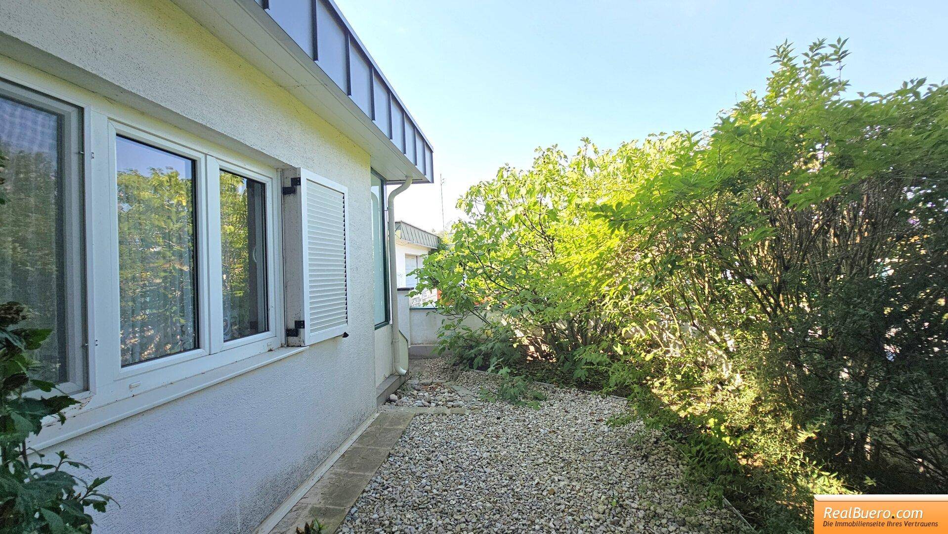 Fläche vor dem Haus u.a. mit Feigenbaum