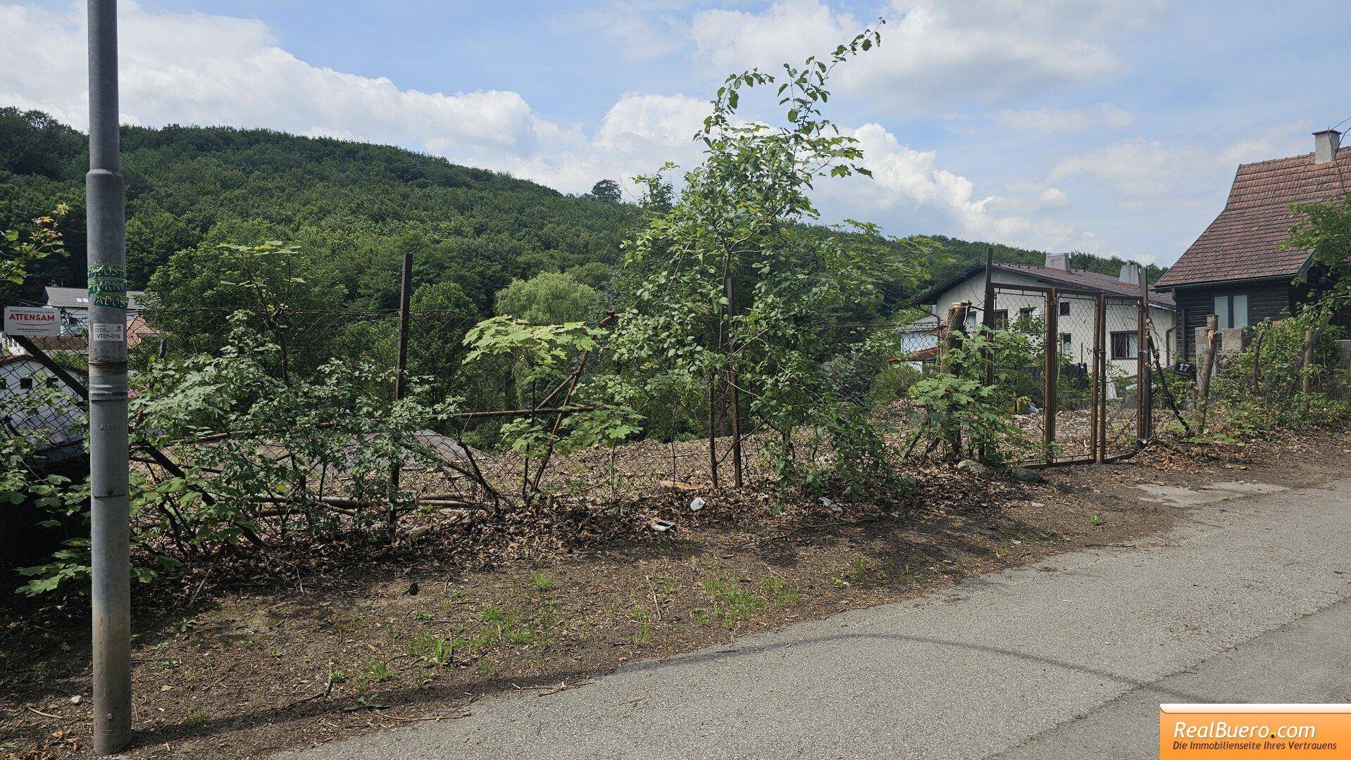 Grundstück mit angrenzender Straße und dichtem Wald im Hintergrund unter blauem Himmel.