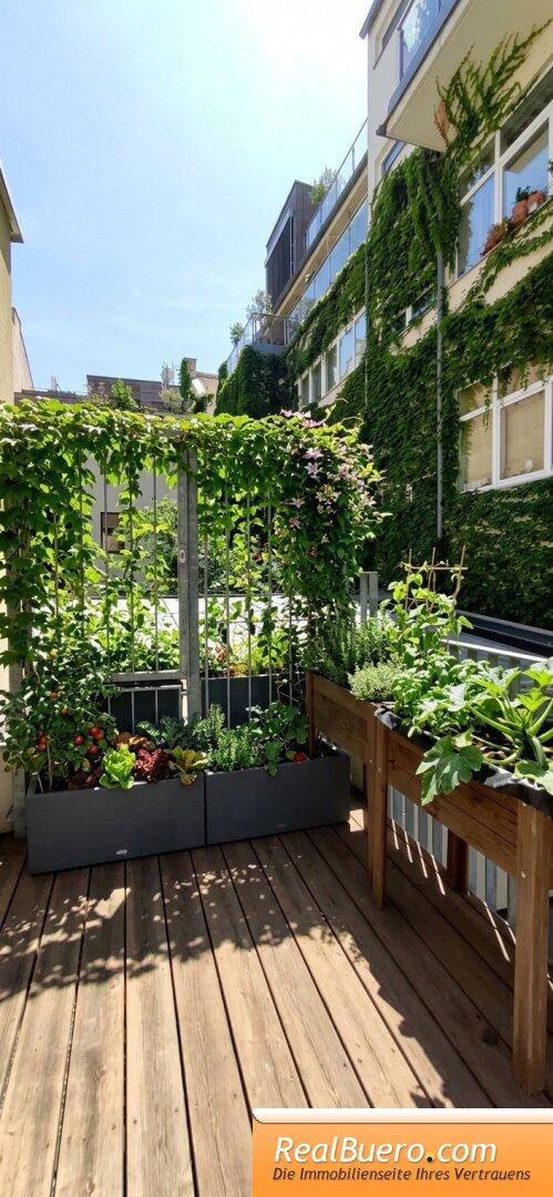 Sonniger Gartenbereich mit Hochbeeten, Kletterpflanzen und Holzboden, ideal für Urban Gardening.