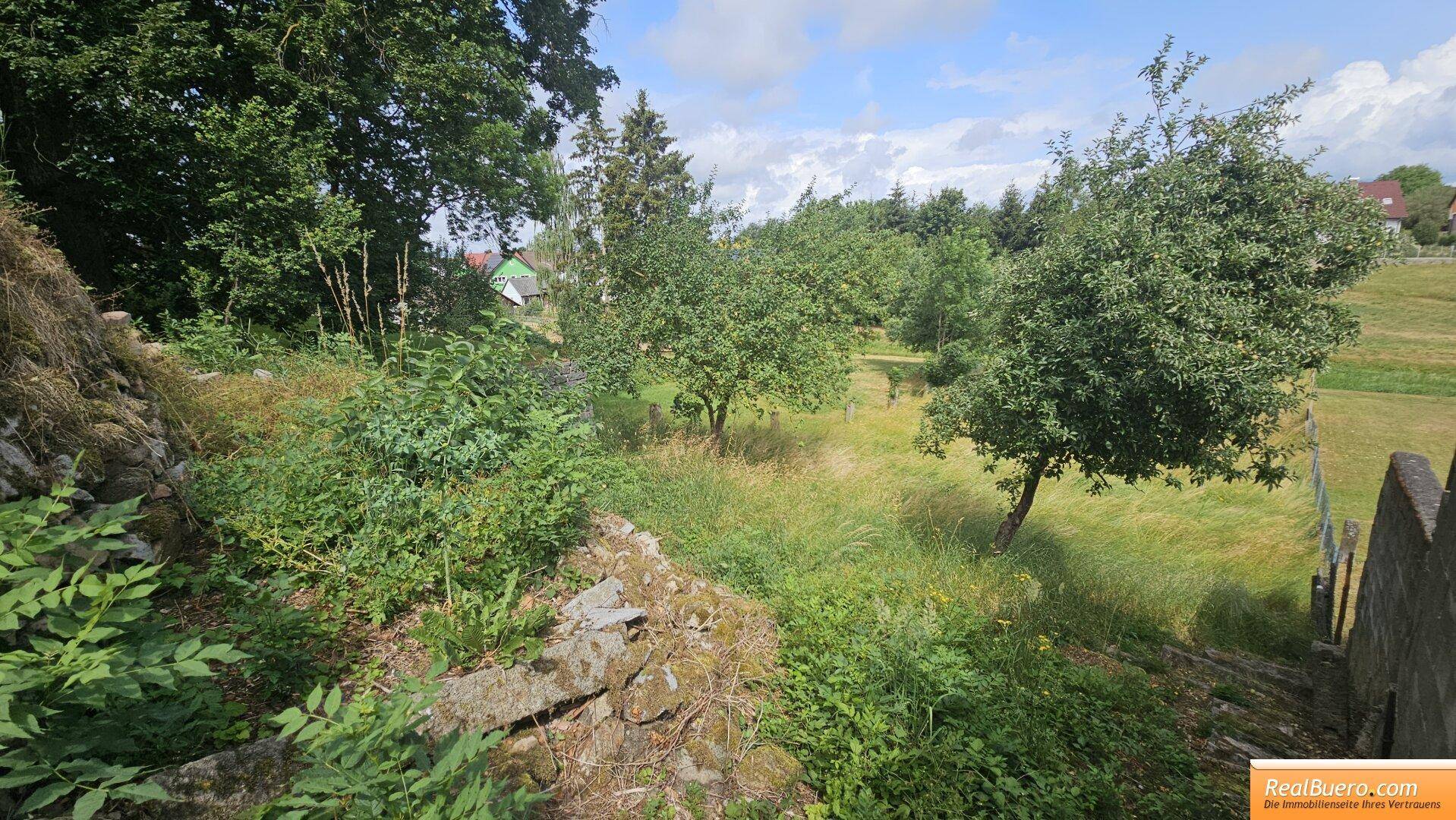 Naturbelassener Gartenbereich mit üppiger Vegetation, Bäumen und weitem Blick ins Grüne.