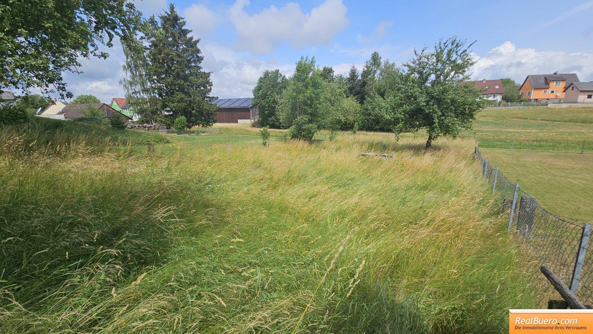 Weitläufige Wiese mit hohem Gras und Blick auf die umliegende Bebauung und Landschaft.
