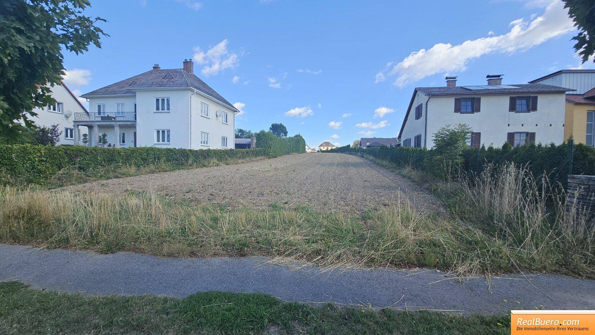 Leeres Grundstück mit trockenem Gras, umgeben von Wohnhäusern und einer Zufahrtsstraße.