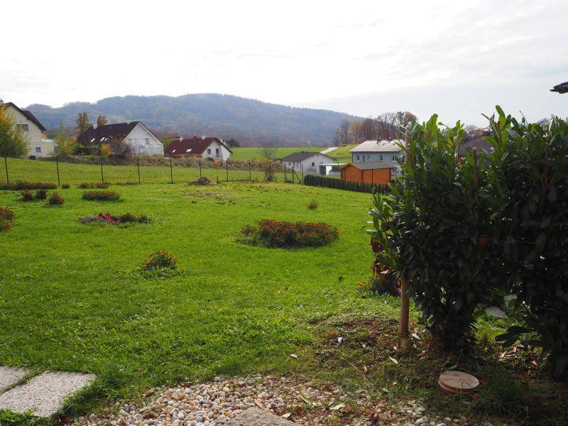 P1011579.JPG