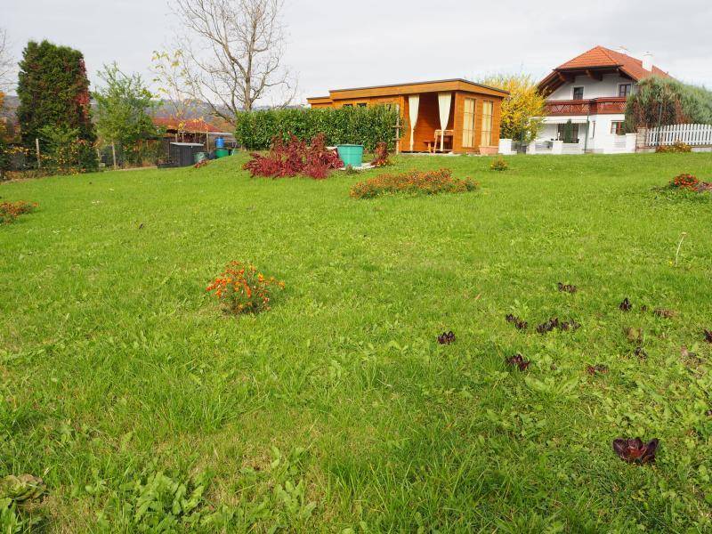 P1011596.JPG