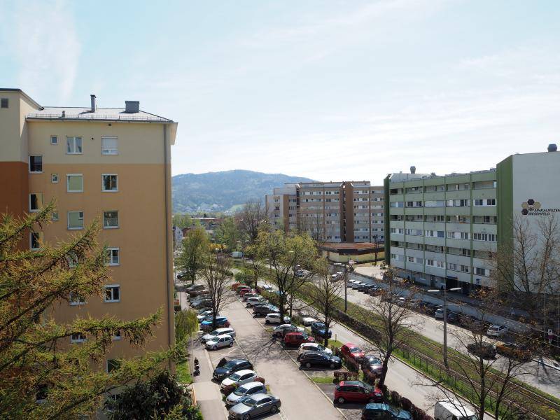 P1011903.JPG