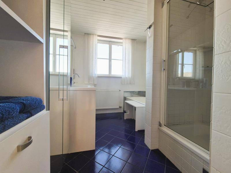 Badezimmer mit blauen Fliesen, Duschkabine und Fenster für Tageslicht.
