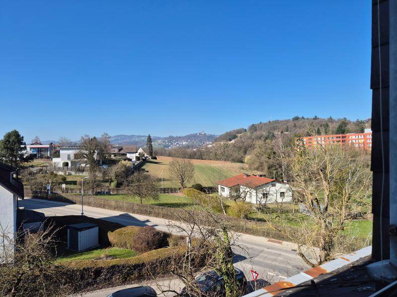 Weitläufiger Blick über die grüne Landschaft und umliegende Häuser von der Wohnung aus.