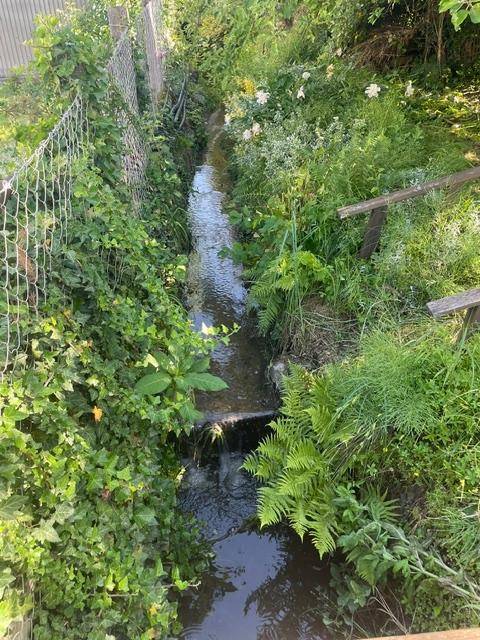 Naturparadies mit Potenzial: Charmantes Bastlerhit- Einfamilienhaus im Herzen von Walding - Ansicht 6