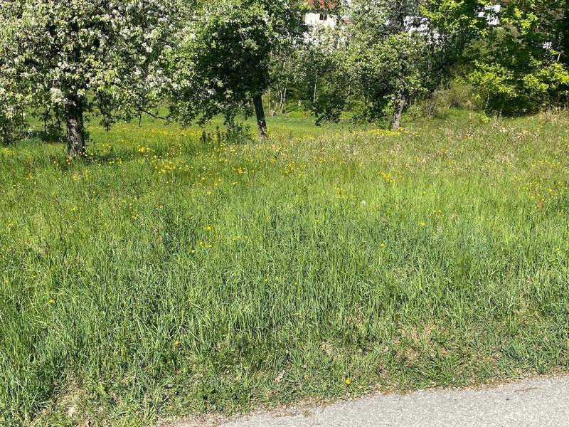 Traum-Bauland in Walding: Zentrumslage trifft unverbaubare Weitblick-Panoramalage... - Ansicht 5