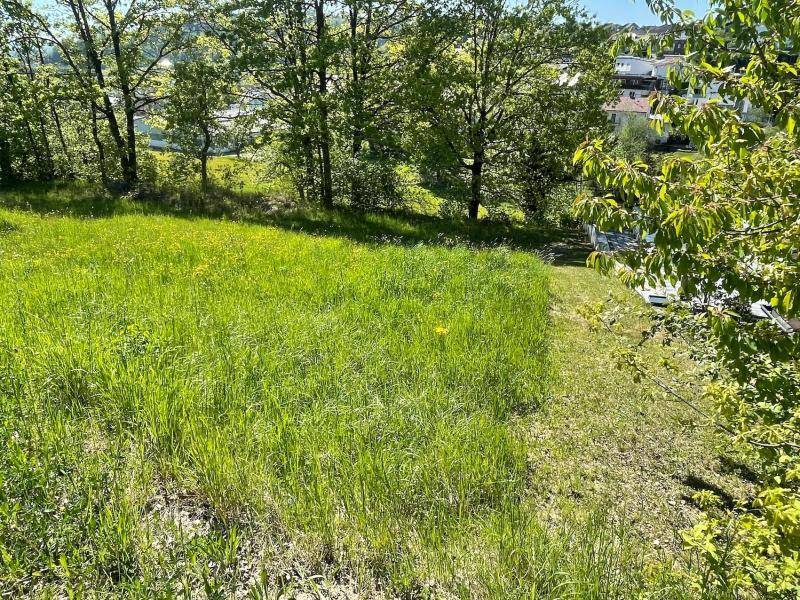 Traum-Bauland in Walding: Zentrumslage trifft unverbaubare Weitblick-Panoramalage... - Mehr