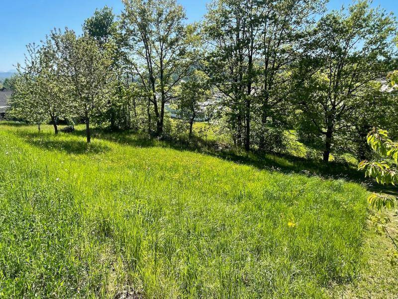 Traum-Bauland in Walding: Zentrumslage trifft unverbaubare Weitblick-Panoramalage... - Ansicht 6