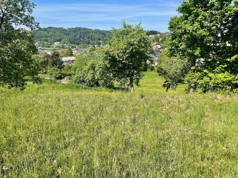 Weitläufiges Wiesengrundstück mit vereinzelten Bäumen und Panoramablick auf die Landschaft.