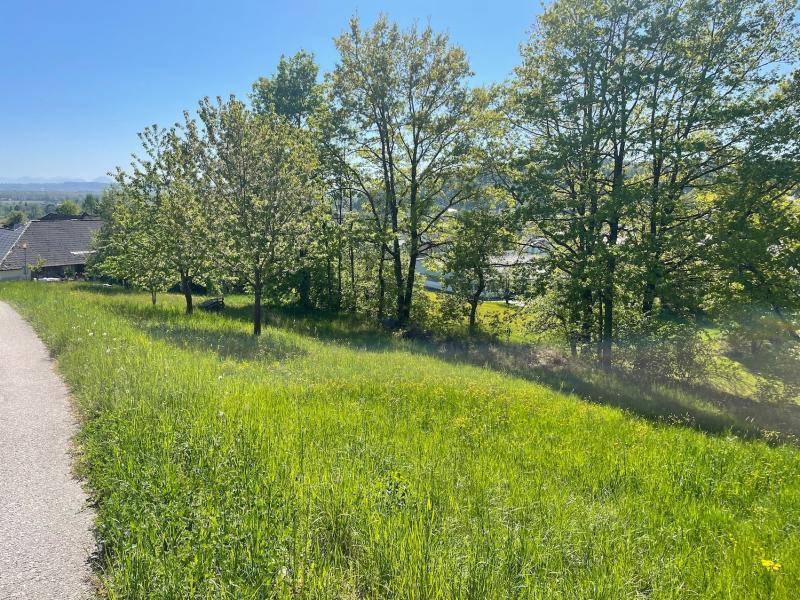Traum-Bauland in Walding: Zentrumslage trifft unverbaubare Weitblick-Panoramalage... - Ansicht 3