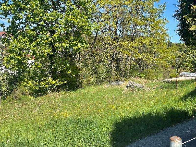 Traum-Bauland in Walding: Zentrumslage trifft unverbaubare Weitblick-Panoramalage... - Ansicht 2