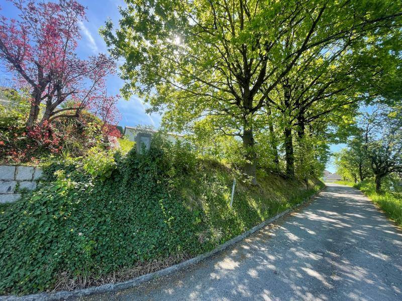 Sonniger Weg entlang einer bewachsenen Böschung mit Bäumen und hellem Himmel.