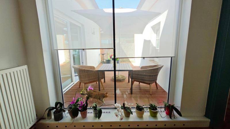 Blick aus dem Fenster auf eine sonnige Terrasse mit Gartenmöbeln und Pflanzen.